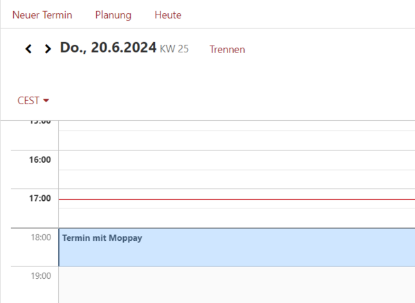 Der soeben angelegte Termin erscheint im Kalender (Tagesansicht im Kalender-Modul)